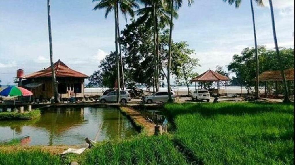 Revive Lampung Krui King Resort Exterior foto